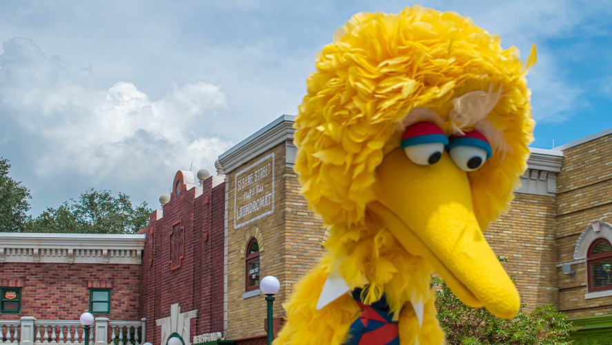 big bird - 101.5 The Eagle