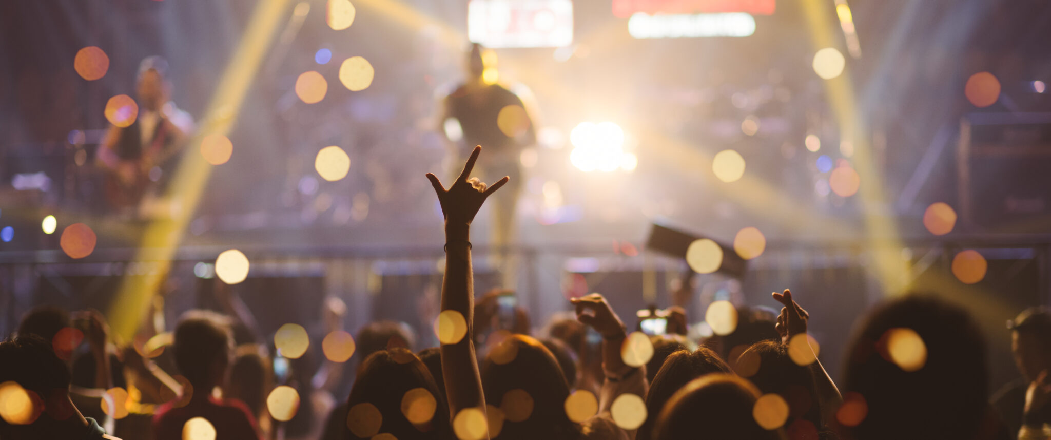 ProfessionalPartyConcertEntertainmentConcertPeopleJoyfulAndApplauding - 101.5 The Eagle